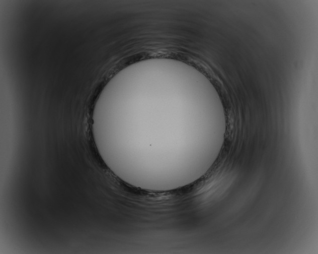 X0000099570667200805160727