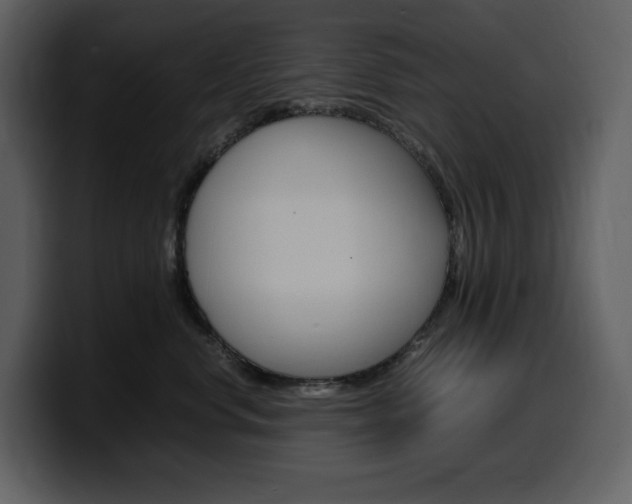 X0000099570668200805160727