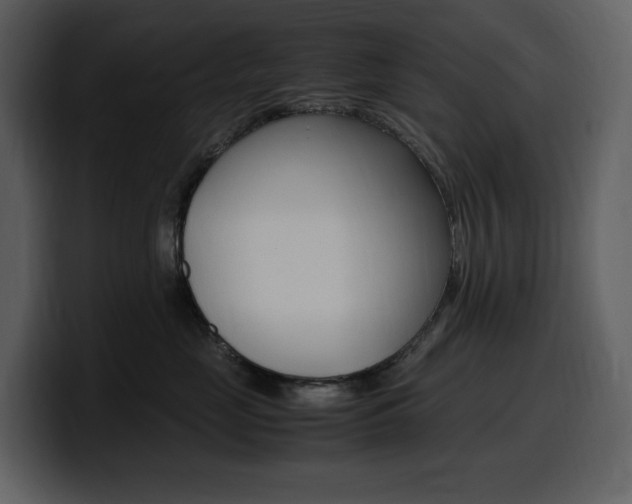 X0000099570669200805160727