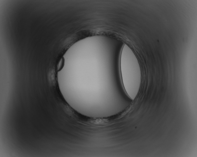 X0000099570670200805160727