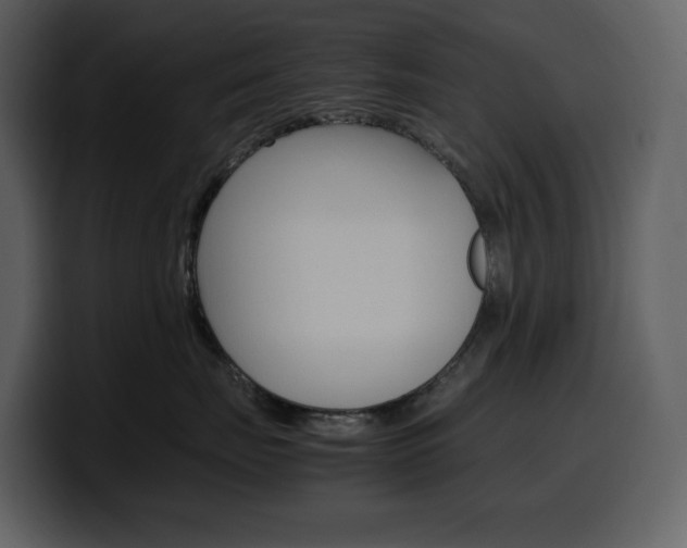 X0000099570671200805160727
