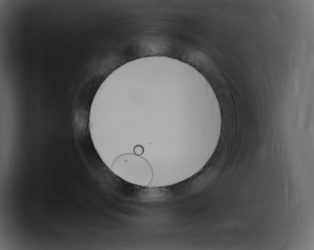 X0000099570672200805160727