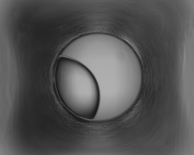 X0000099570673200805160726