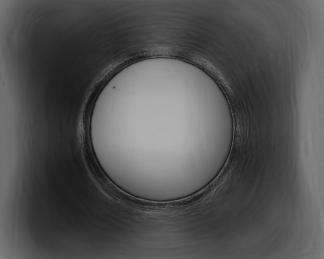 X0000099570674200805160726