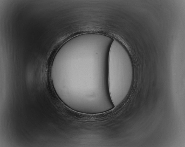 X0000099570675200805160726