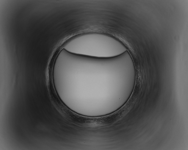 X0000099570678200805160726