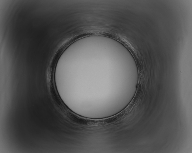 X0000099570679200805160726