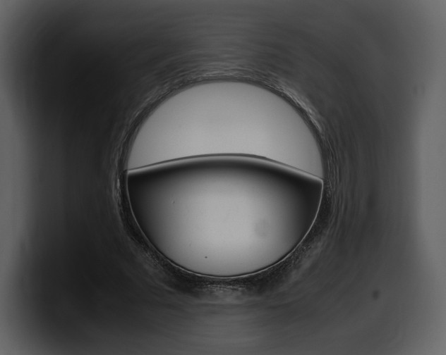 X0000099570681200805160726