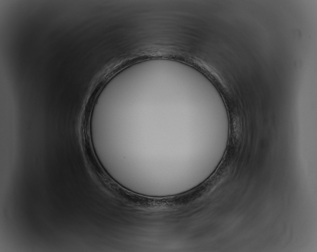 X0000099570682200805160726