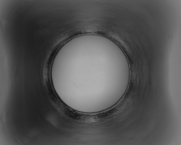 X0000099570683200805160726
