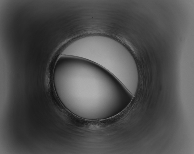 X0000099570684200805160726
