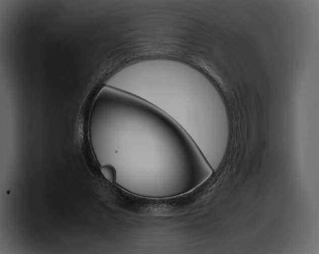 X0000099570685200805160726