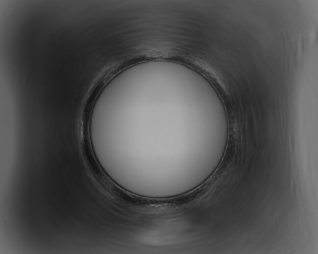 X0000099570686200805160726