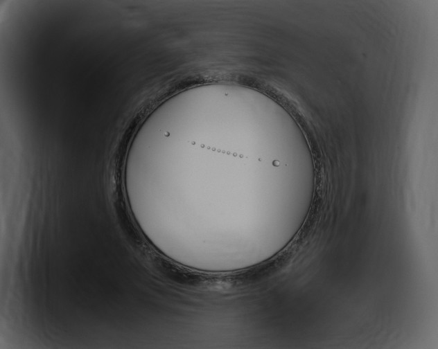 X0000099570687200805160726