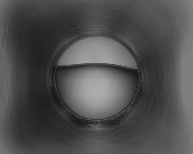 X0000099570688200805160726
