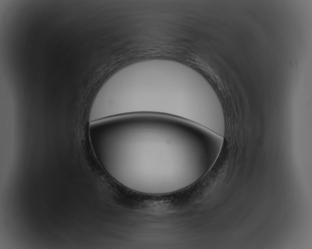 X0000099570689200805160726