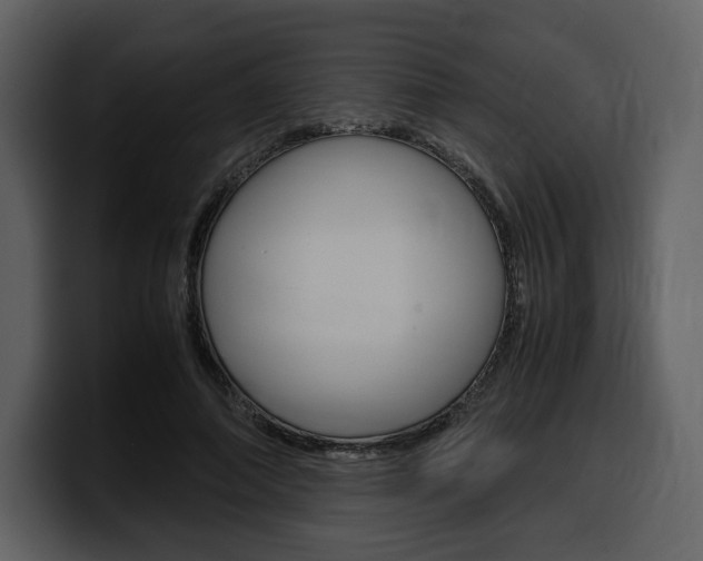 X0000099570690200805160726