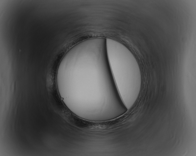 X0000099570691200805160726