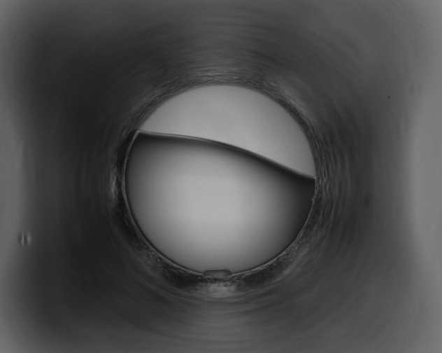 X0000099570692200805160726