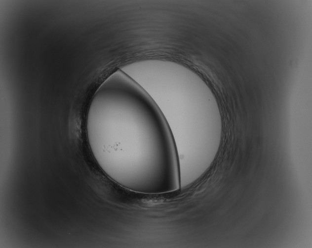 X0000099570693200805160726