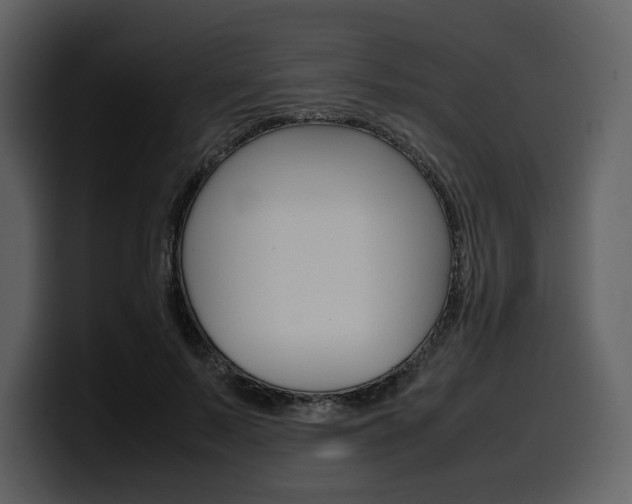 X0000099570695200805160726