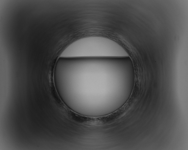 X0000099570696200805160726