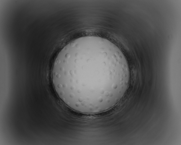 X0000099570698200805160726