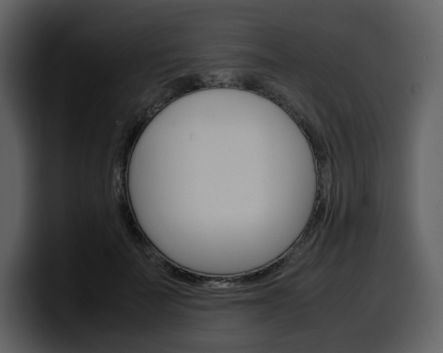 X0000099570699200805160726