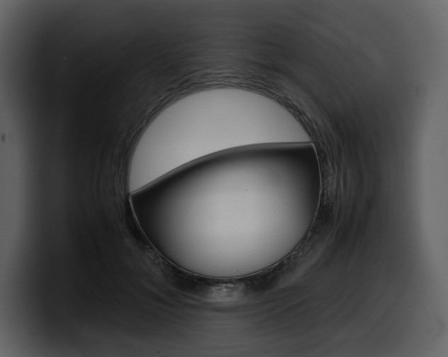 X0000099570700200805160726