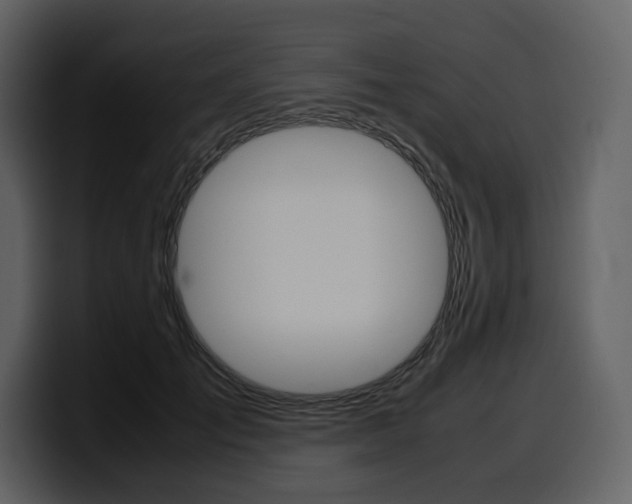 X0000099570701200805160726