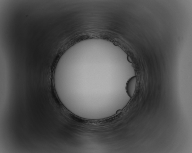 X0000099570702200805160726