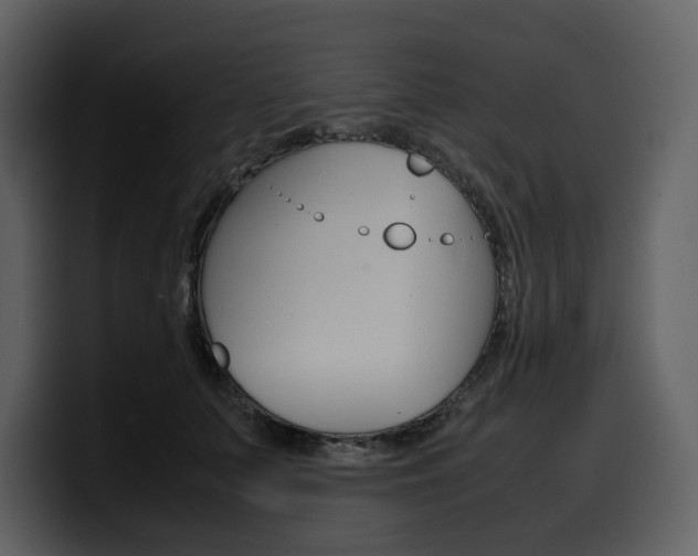 X0000099570703200805160726