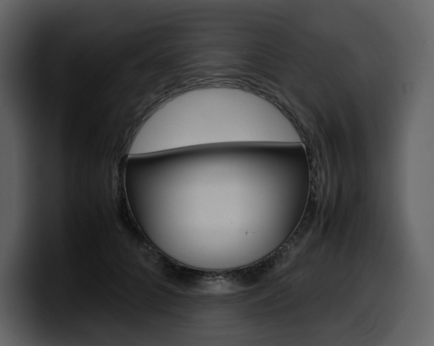 X0000099570704200805160726
