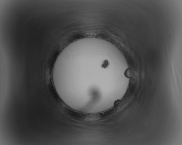 X0000099570707200805160726