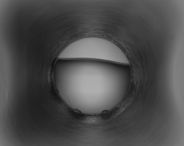 X0000099570708200805160726