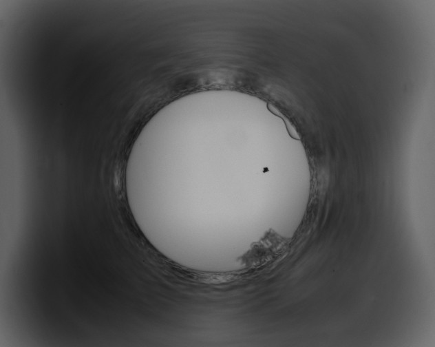 X0000099570709200805160726