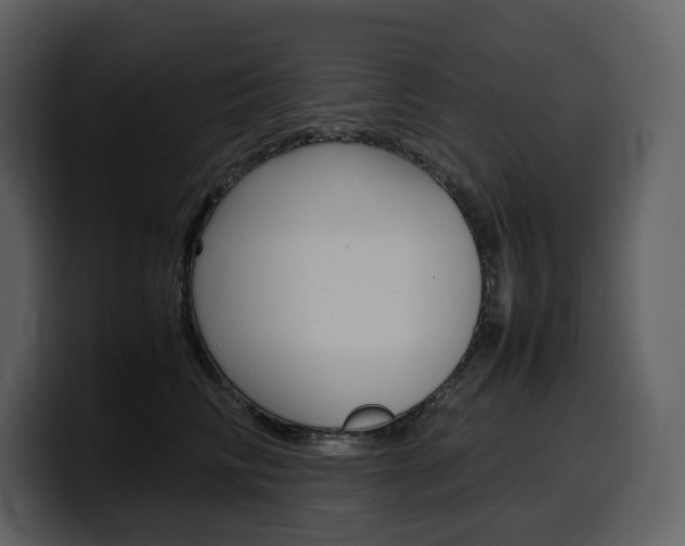 X0000099570710200805160726