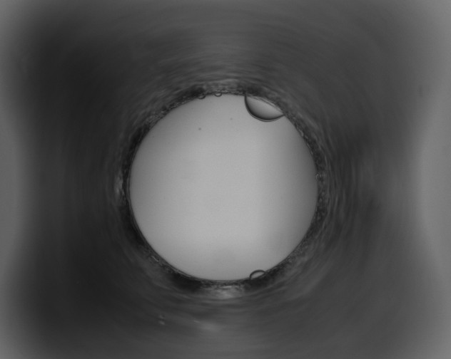 X0000099570711200805160726