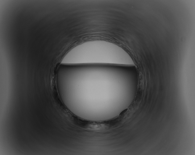X0000099570712200805160726
