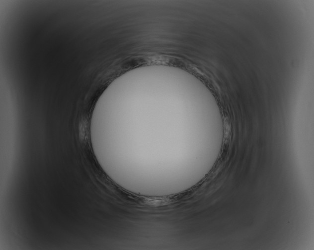 X0000099570713200805160726