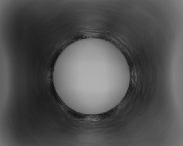 X0000099570714200805160726