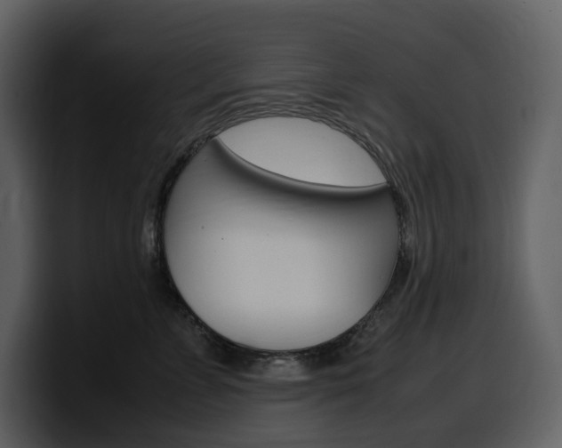X0000099570715200805160726