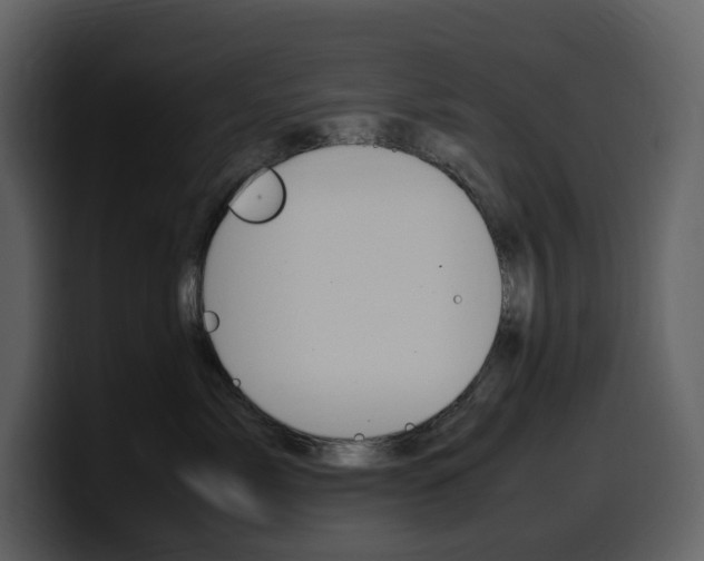 X0000099570717200805160726