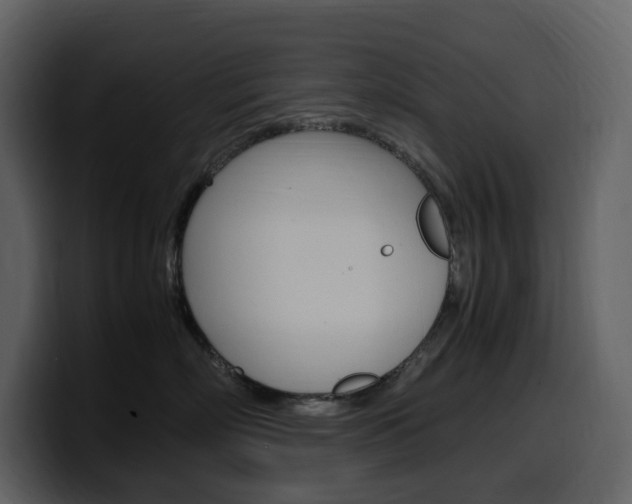 X0000099570718200805160726