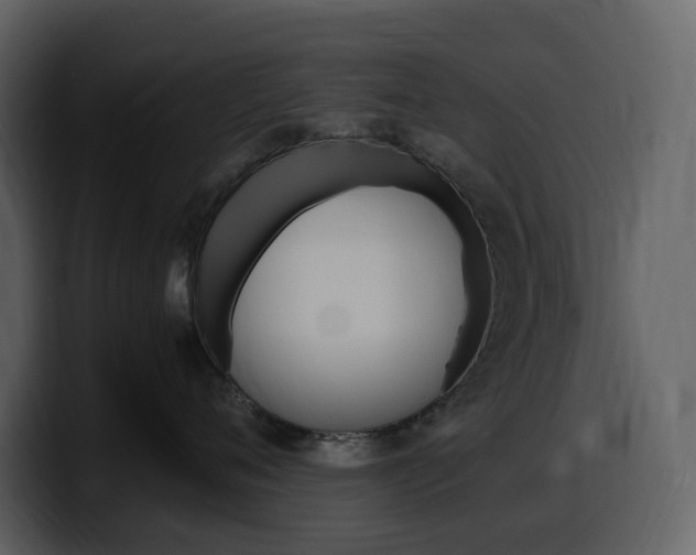X0000099570720200805160726