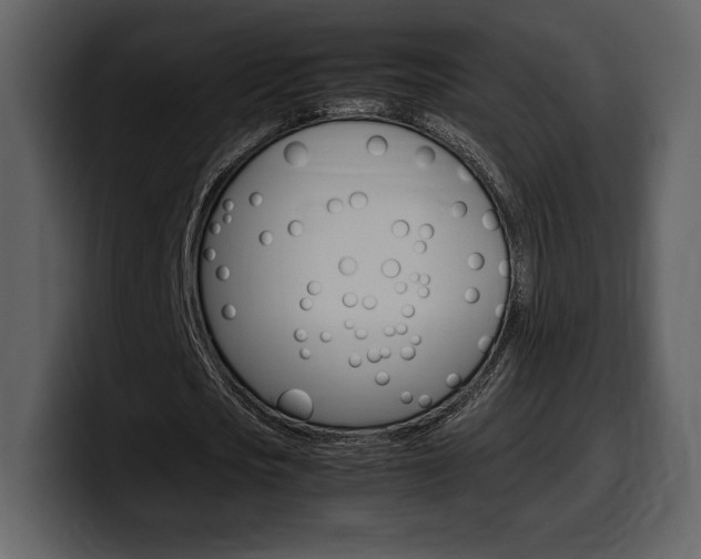 X0000099570721200805160725