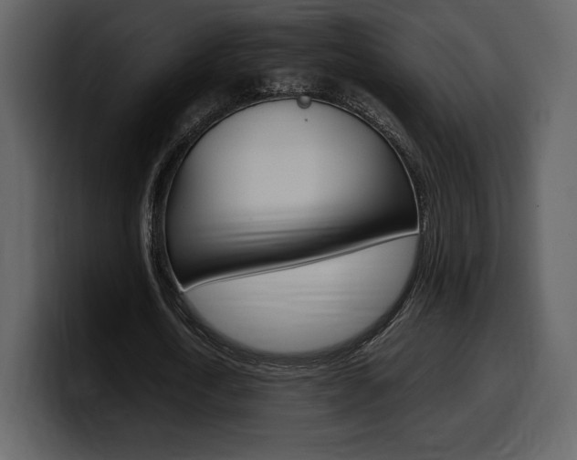 X0000099570722200805160725