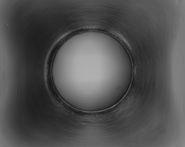 X0000099570724200805160725