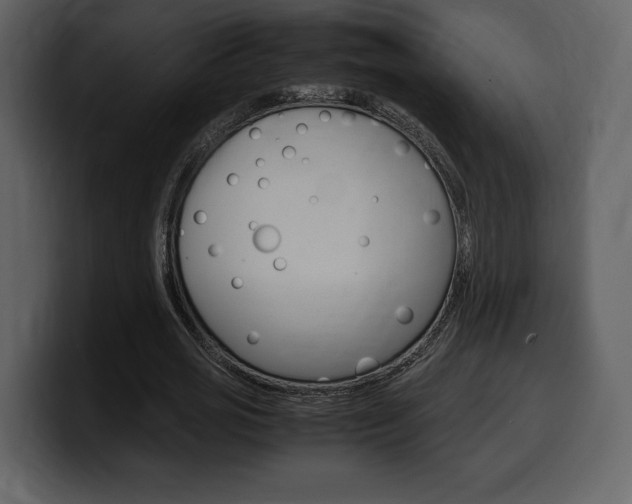 X0000099570725200805160725