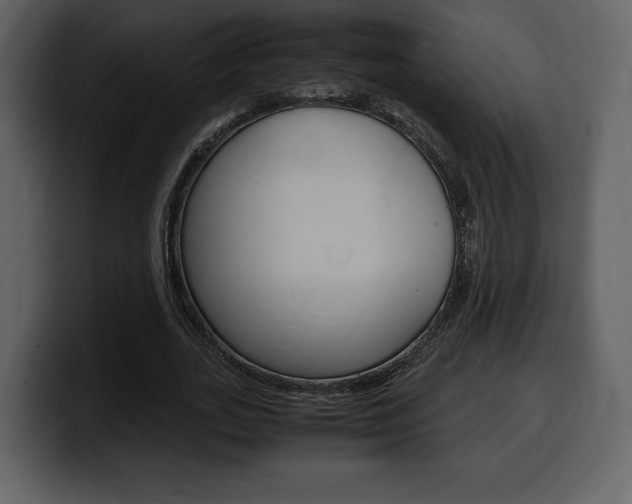 X0000099570727200805160725